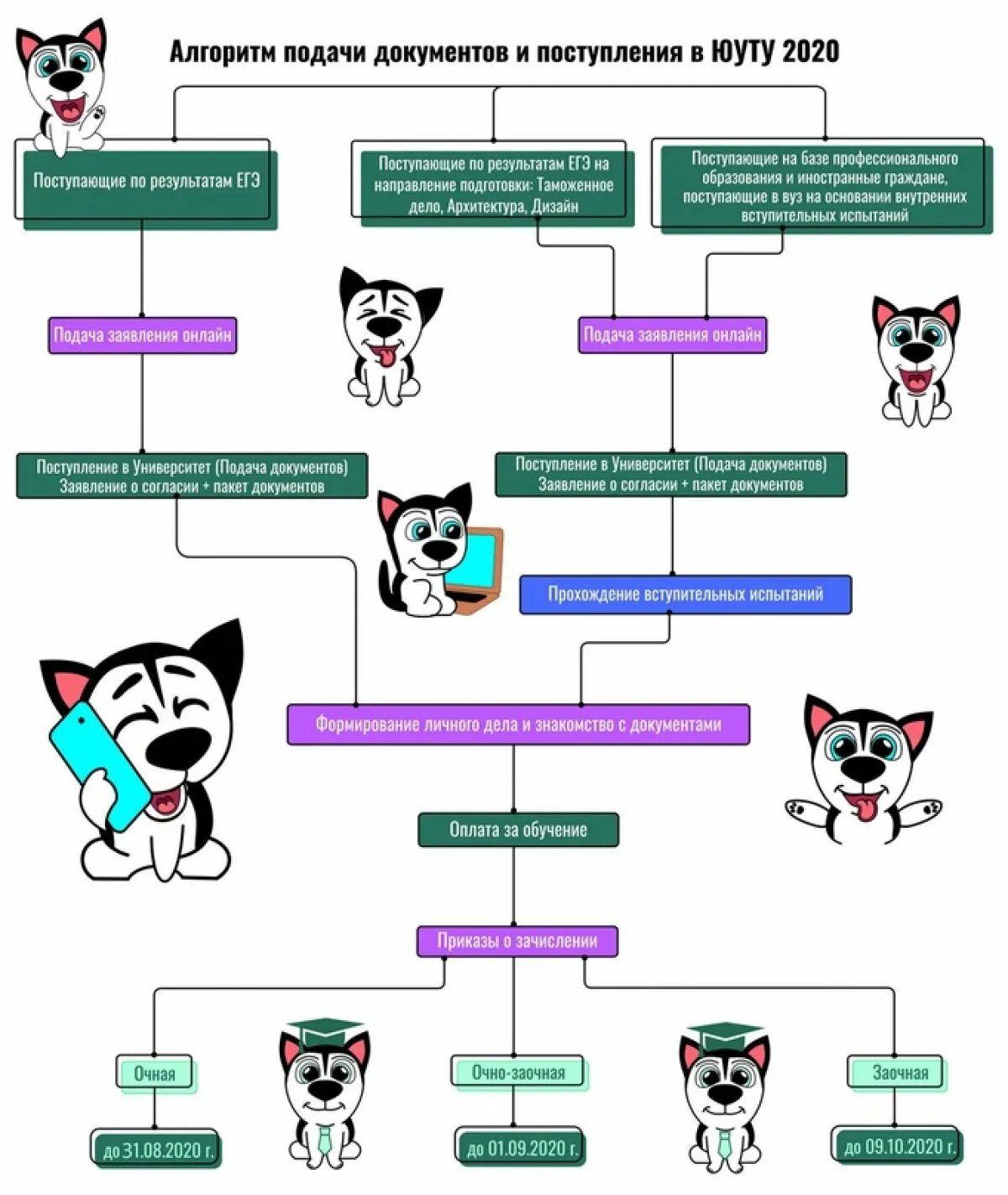 Алгоритм приема документов. Алгоритм поступления в вуз. Схема поступления в университет. Алгоритм подачи документов в вуз. Алгоритм для поступление в универ.