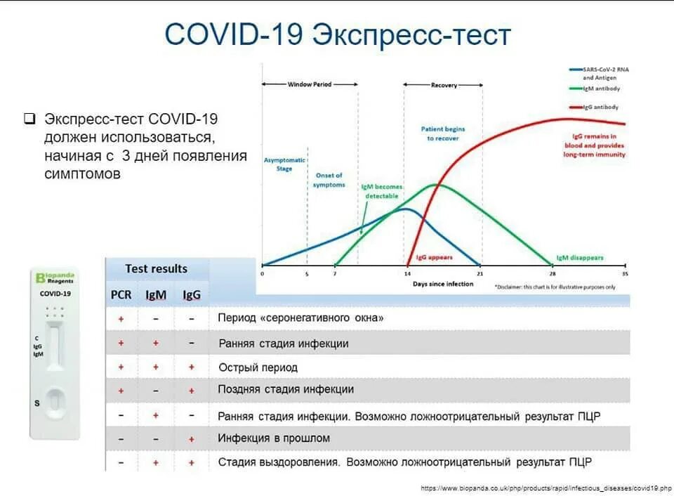 Результаты теста covid. Экспресс-тест на Covid-19. Экспресс тест ПЦР результат. Экспресс ПЦР тест на ковид. Тест ПЦР на Covid-19.