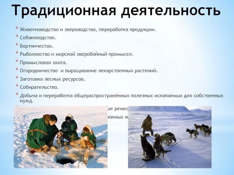 Морской зверобойный промысел и оленеводство какой народ. Традиционная деятельность. традиционное занятие морской зверобойный промысел. морской зверобойный промысел традиционное занятие какого народа. народ является морской зверобойный промысел.
