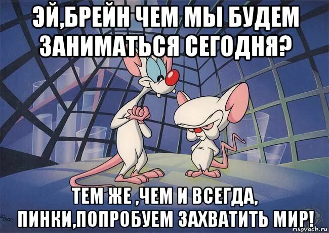 Мы открываем бизнес мы будем текст