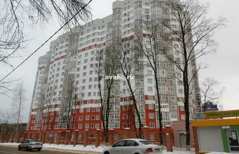 Кучино леоновское шоссе