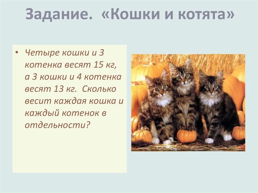 Слово 4 котенка. 4 Кошки и 3 котенка весят 15 кг а 3 кошки и 4. Четыре котенка. Задания по кошкам. Кошка и 4 котенка.