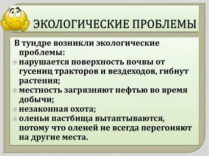 Экологические проблемы в зоне тундры