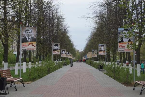 парковая аллея дзержинск. аллея дзержинск. аллея дзержинск. парк дендрарий дзержинск. ильяшевич дзержинск дендрарий.