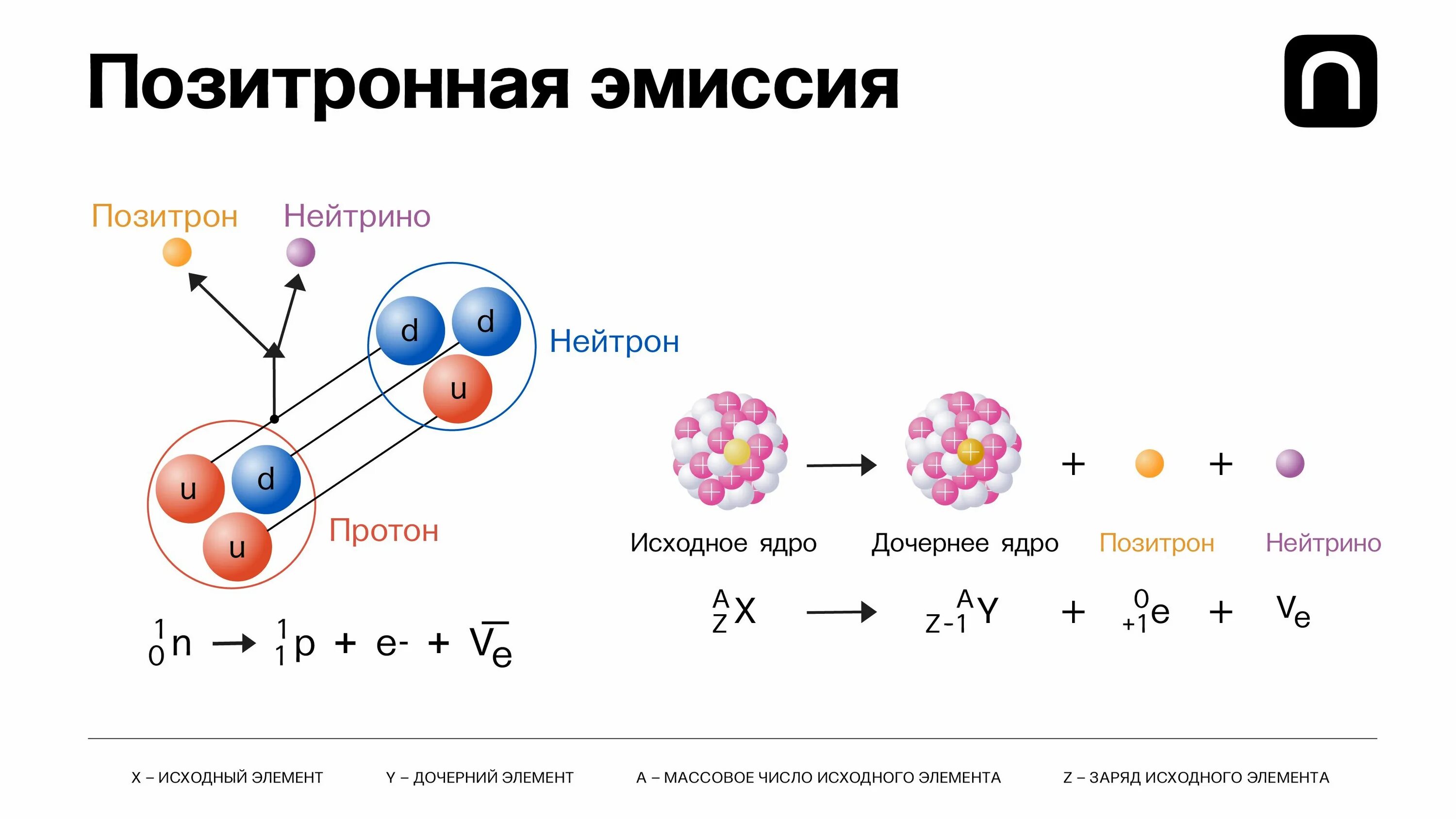 Распад позитрона. Бета распад схема распада. Схема бета плюс распада. Позитронный бета распад. Бета распад протоны и нейтроны.