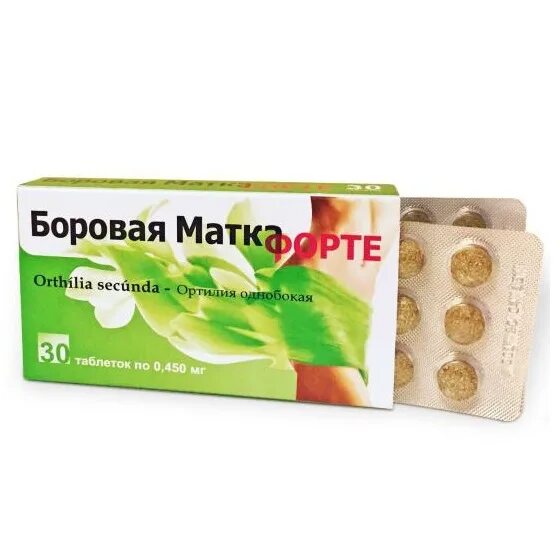 Можно пить боровую матку во время месячных