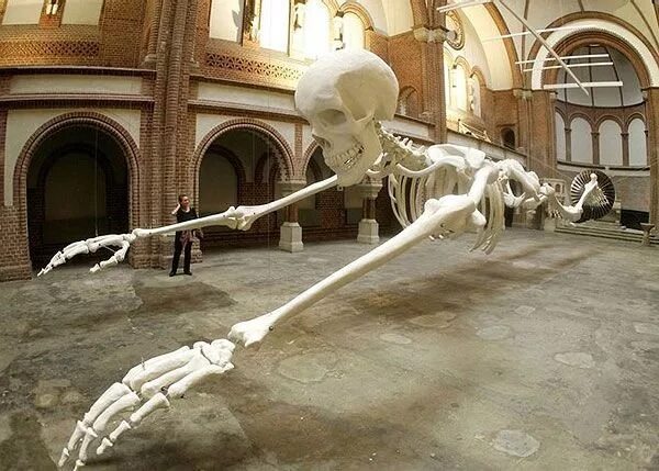 Океанский атлант подводная статуя. 8 гигантов. Смитсоновский институт кости великанов. Раскопки скелетов людей-великанов. 8 гигантов.