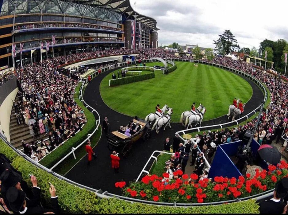 Royal ascot 2019. Королевские скачки. Королевские скачки royal ascot. Королевские скачки. Скачки роял аскот 2020.