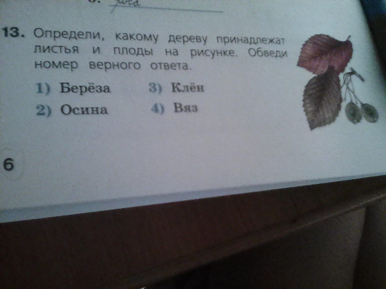 Впр по окружающему миру четвёртый класс. Впр по окружающему миру 4 класс с ответами. Обведи номер верного утверждения о слове жизнь. Растения впр 4 класс. Задания по впр 4 класс окружающий мир.