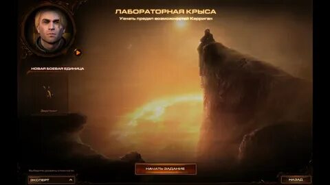Задание крысы
