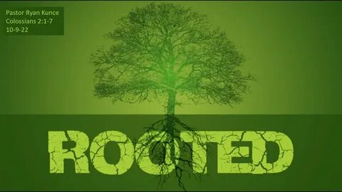 Rooted but not rooted