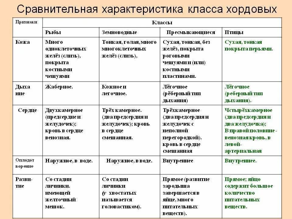 Используя текст параграфа заполните таблицу позвоночных животных. Рыбы земноводные рептилии сравнение таблица. Таблица по биологии 7 класс Хордовые общая характеристика. Таблица по биологии 7 Хордовые класс млекопитающие. Рыбы земноводные рептилии птицы млекопитающие таблица.