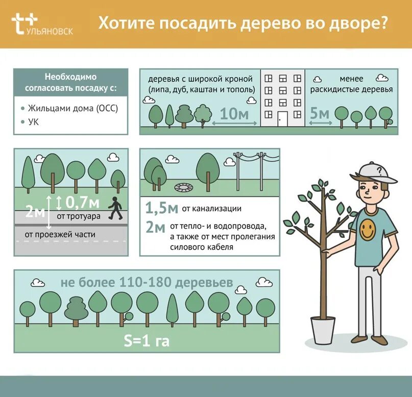 Территория посаженными человеком плодовыми деревьями кустарниками это. Нормы посадки деревьев. Правила высадки деревьев. Схема посадки плоловыхьдеревьев. Как посадить дерево.