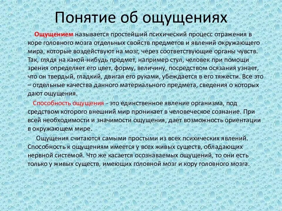 Физические ощущения это. Понятие ощущения. Презентация по ощущениям. Способность к ощущениям имеется:. Важность ощущений.