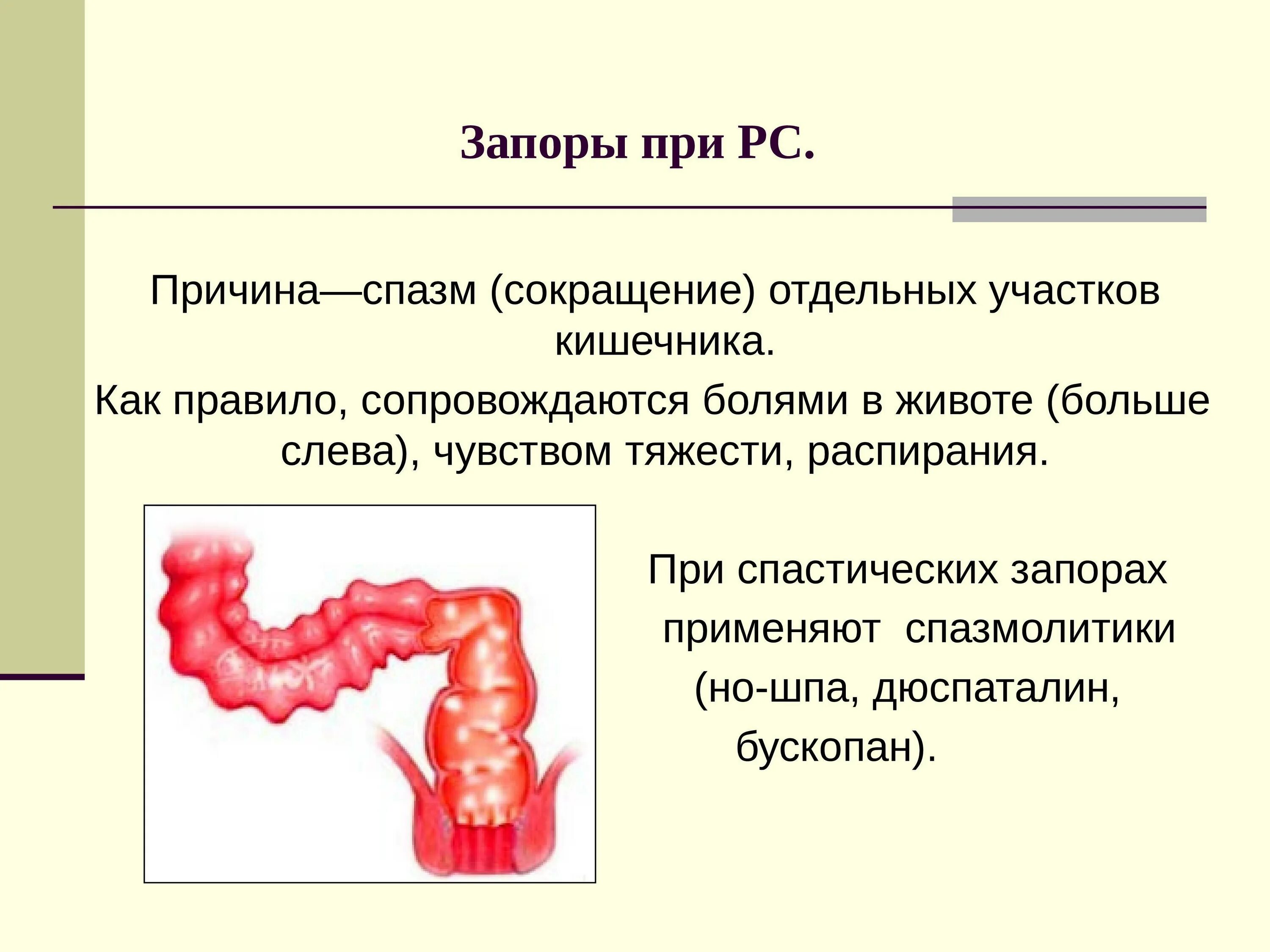 Спастическое сокращение кишечника. Спазмы Толстого кишечника. Отчего запоры