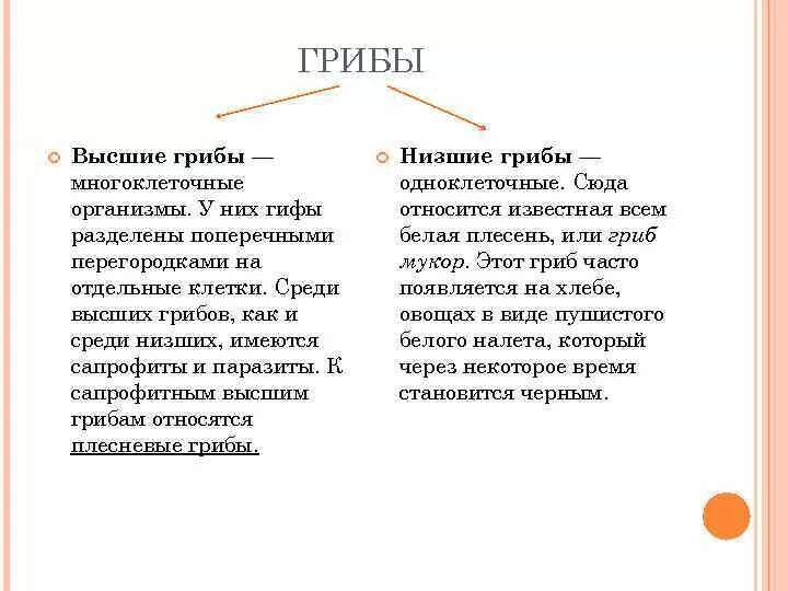 Различия высших и низших грибов. Строение высших и низших грибов. Характеристика высших грибов. Высшие и низшие грибы отличия.