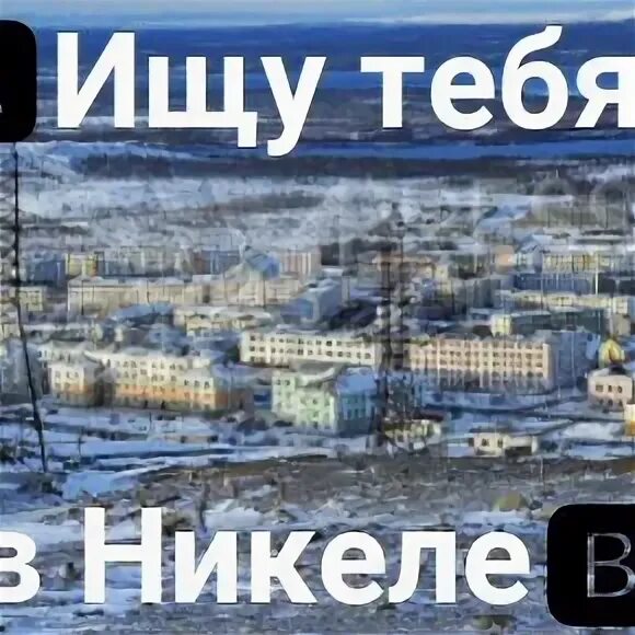 Фонды 2 жизнь помощь животным никель заполярный. Такси премиум заполярный никель. такси никель заполярный. заполярный никель такси премиум расписание. маршрутка никель заполярный.
