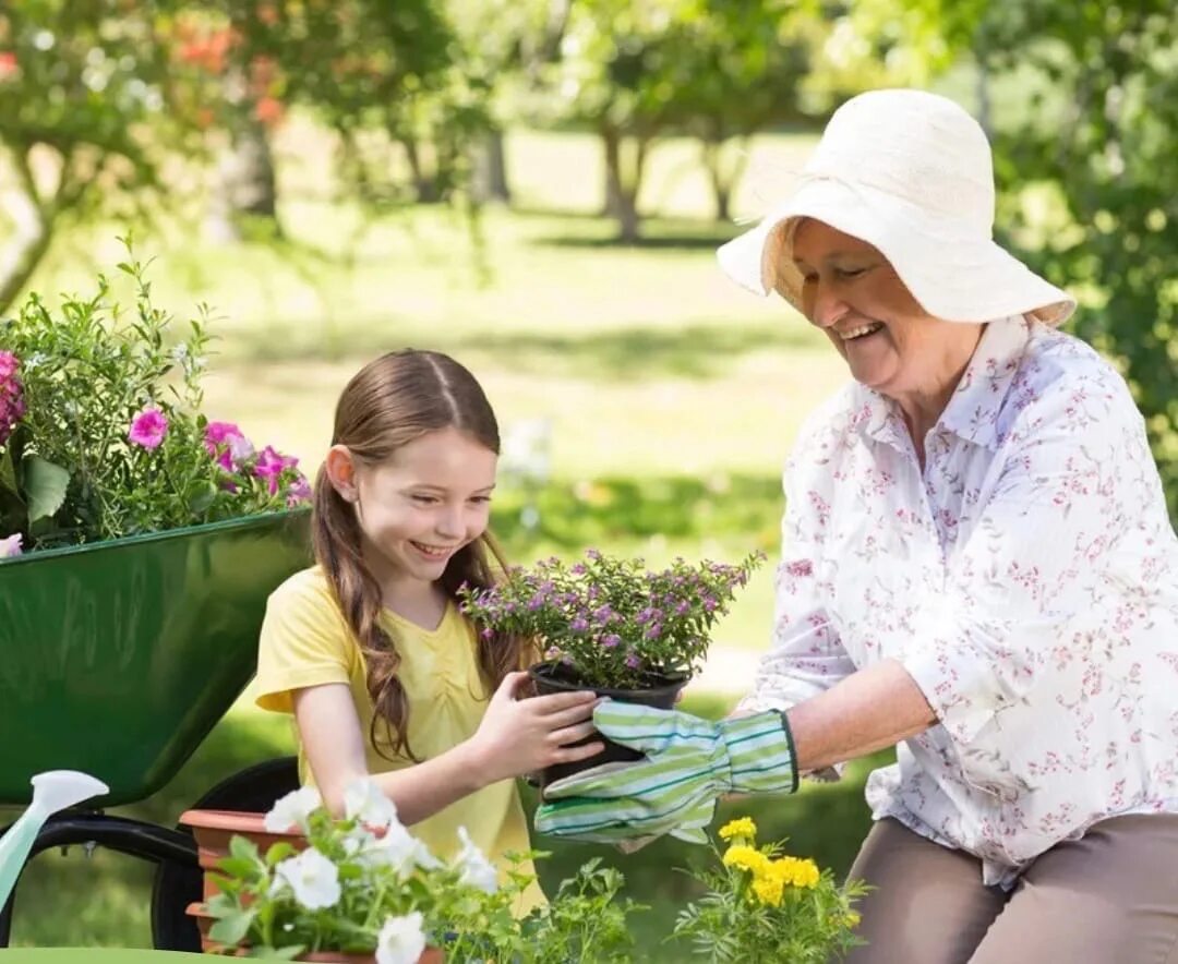 Бабушка в саду с цветами. Поливать цветы. Люди на даче. Женщина сажает цветы.