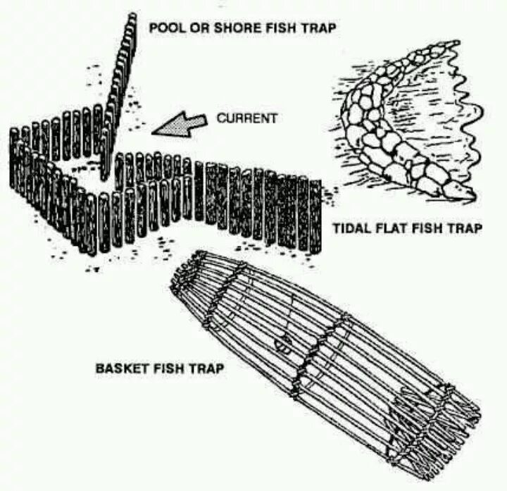 Звук ловли. Котец ЛОВУШКА для рыбы. Стационарные ловушки на рыбу. Старинные ловушки для рыбы. Финская ЛОВУШКА для рыбы.