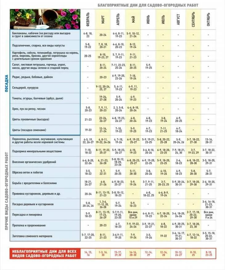 Благоприятные дни для высадки томатов. Благоприятные дни высадки рассады томатов в мае. Благоприятные дни для посадки помидор. Благоприятные дни для помидор. Благоприятные для посадкипомтдор.