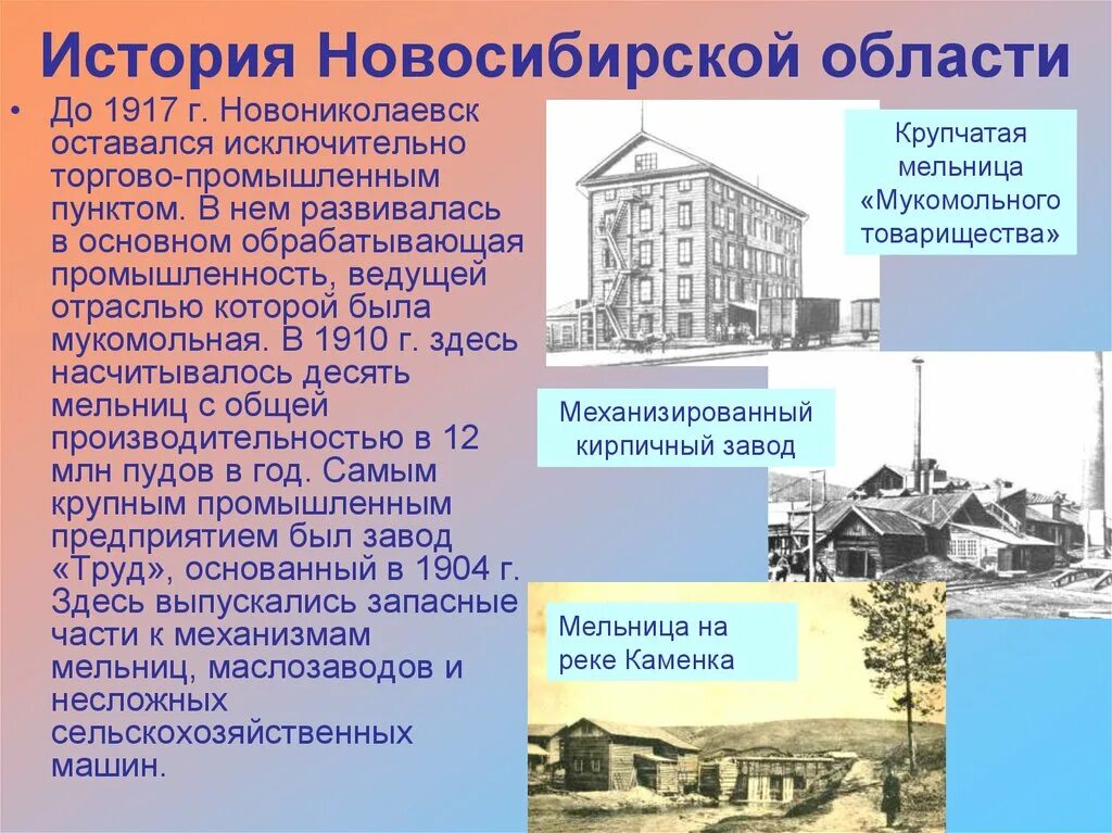 История культуры новосибирская область