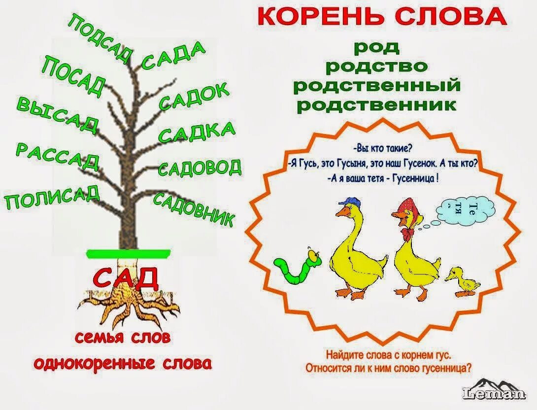 Долголетие корень слова. Корень слова. Корень слова слова. Родственные слова корень слова. Родственные слова картинки.