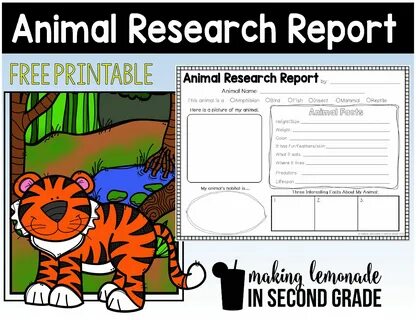 Animal Research Report - FREE PRINTABLE! 