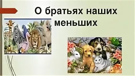 Почему братья меньшие. Братья наши меньшие. Проект братья наши меньшие. Братья наши меньшие доклад. Берегите животных братьев наших меньших.