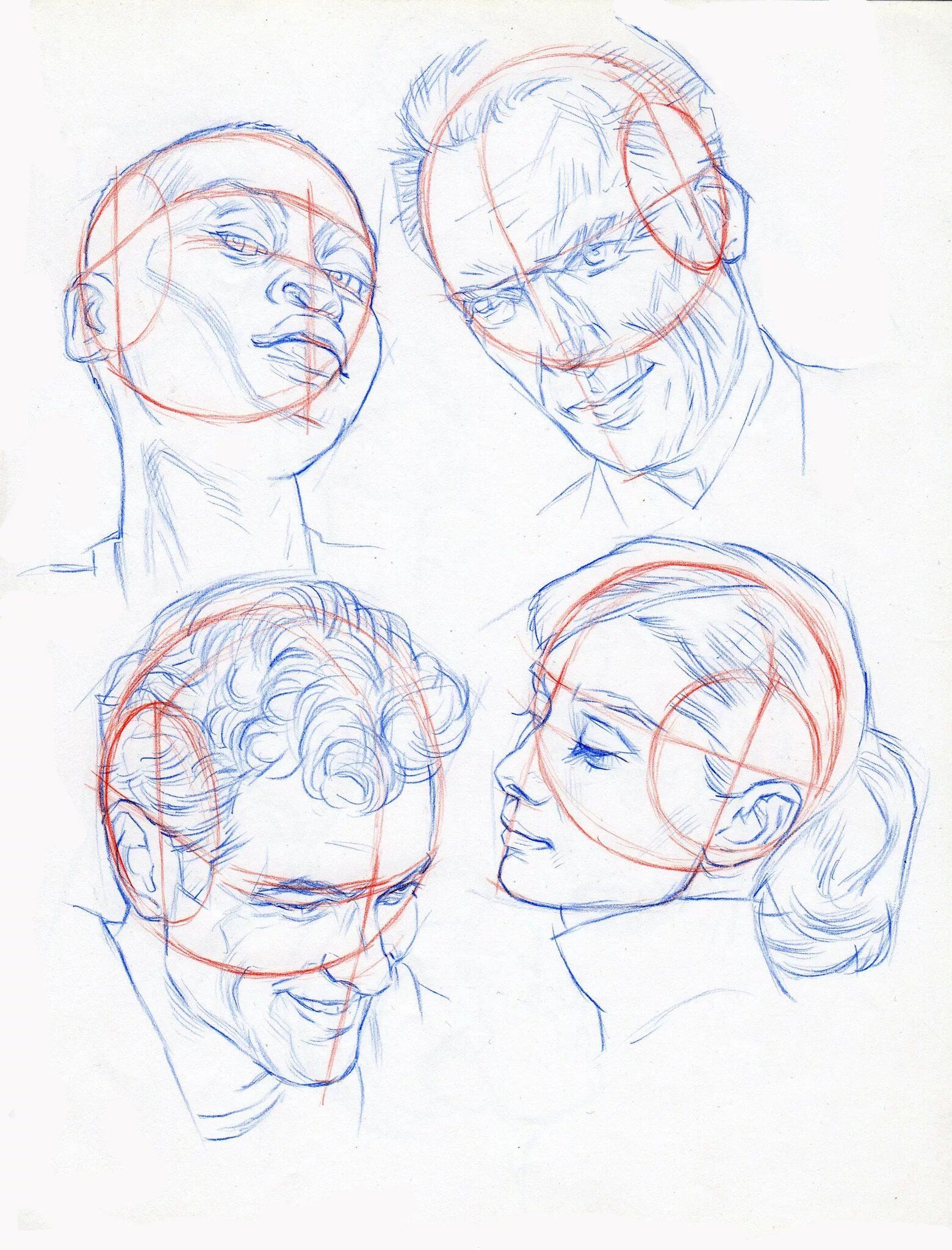 Рисование лица в разных ракурсах. Анатомия лица для рисования. Лицо с разных ракурсов. Ракурсы головы для рисования. Референс головы человека