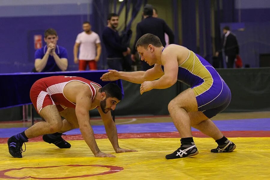 греко-римская, вольная борцы. бекбулатов адам. врестдаг. сборная турции по борьбе фото. вольная борьба владивосток.