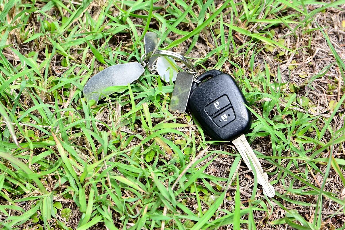 Найден ключ на дороге. Ключи от машины. Ключи от автомобиля и лето. Ключи от машины в траве. Резервные ключи от машины.