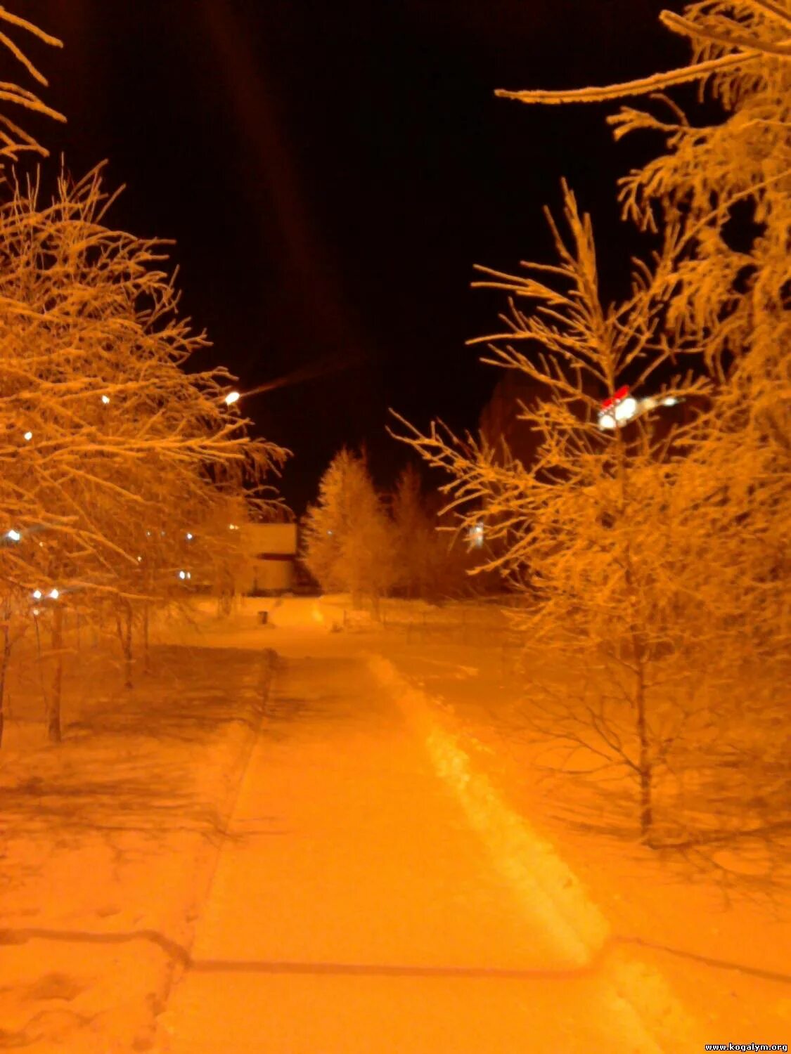 Когалым ночью. Когалым зима. Когалым зимний городок. Когалым ночью зимой.