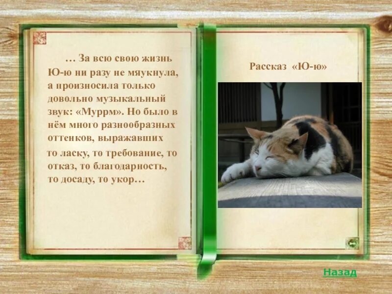 Идея рассказа ю ю