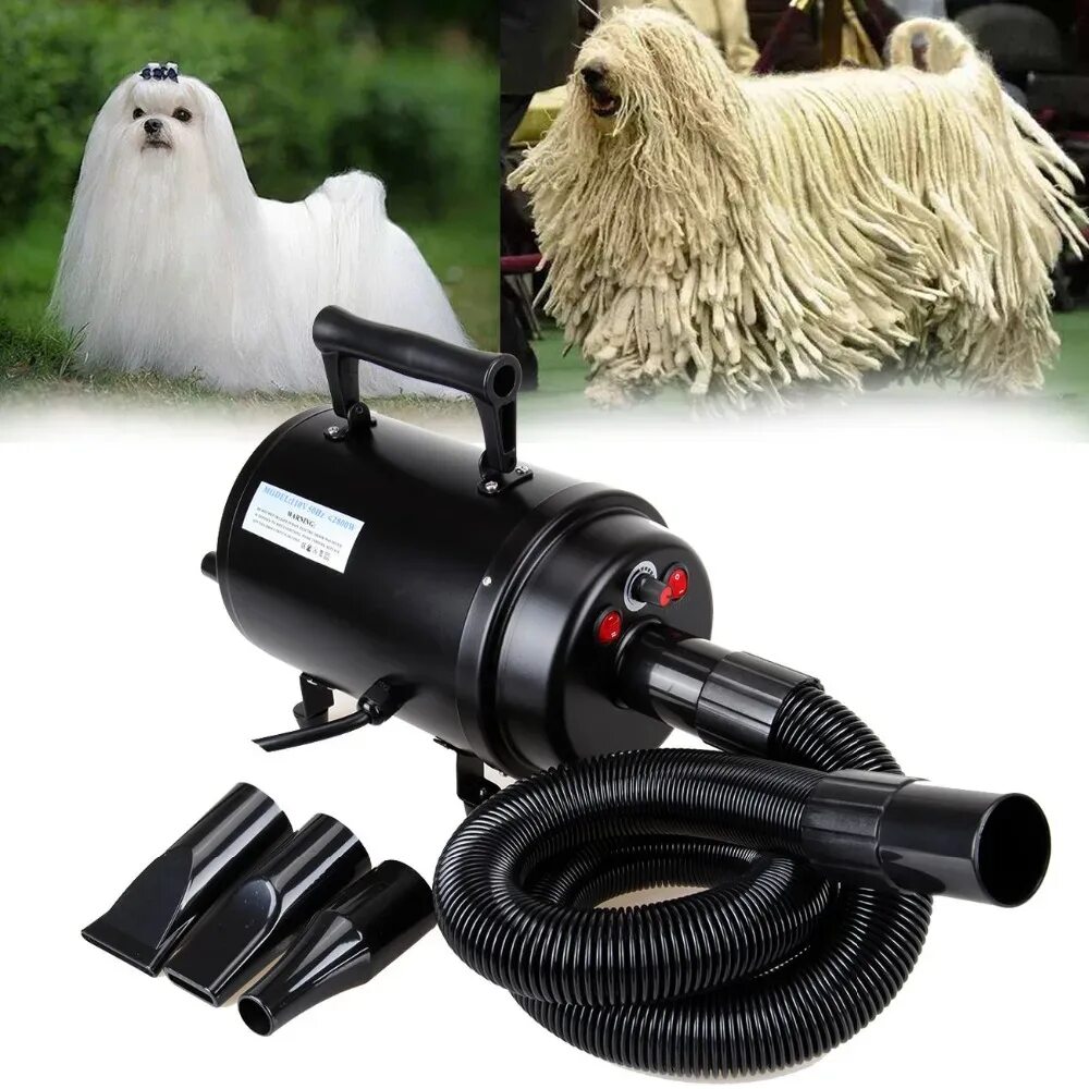Компрессор pet dryer. Фен для сушки собак. Сушка для собак. Компрессор chunzhou bs-2400. Пылесос для собак.