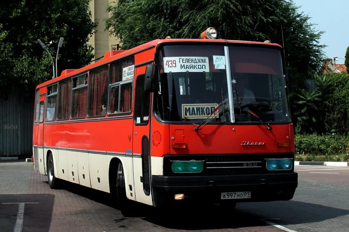 Автовокзал майкоп краснодар. Икарус 250. Икарус 250 автовокзал Краснодар -1. Ikarus 250.59. Автобус Икарус 250.