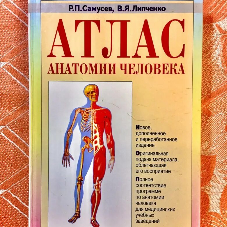 Атлас анатомии человека Самусев Липченко. Самусев р.п., Липченко в.я. атлас анатомии человека. Атлас анатомия человека р.п Самусев. Анатомия человека 1