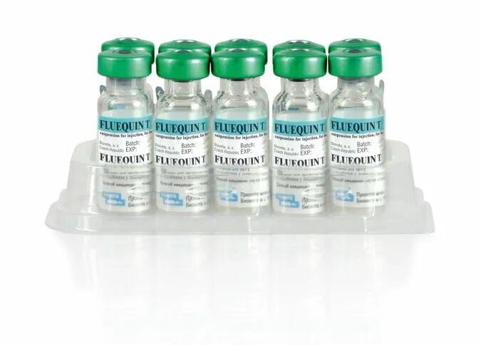 Вакцина грипп столбняк для лошадей курская биофабрика. Вакцина против ринопневмонии лошадей св-69. Вакцина против гриппа лошадей курская биофабрика. Вакцина против гриппа и столбняка лошадей курская биофабрика. Грипп столбняк вакцина для лошадей.