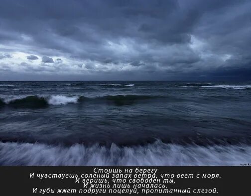 Чувствуете запах моря. Стоишь на берегу и чувствуешь соленый запах ветра. Стоишь на берегу и чувствуешь соленый запах ветра что веет с моря. Почувствовать запах моря. Чувствуешь запах моря стоишь на берегу.