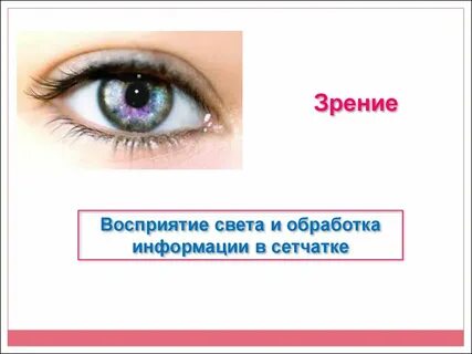 Восприятие света