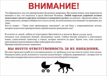 Куда нельзя с собакой