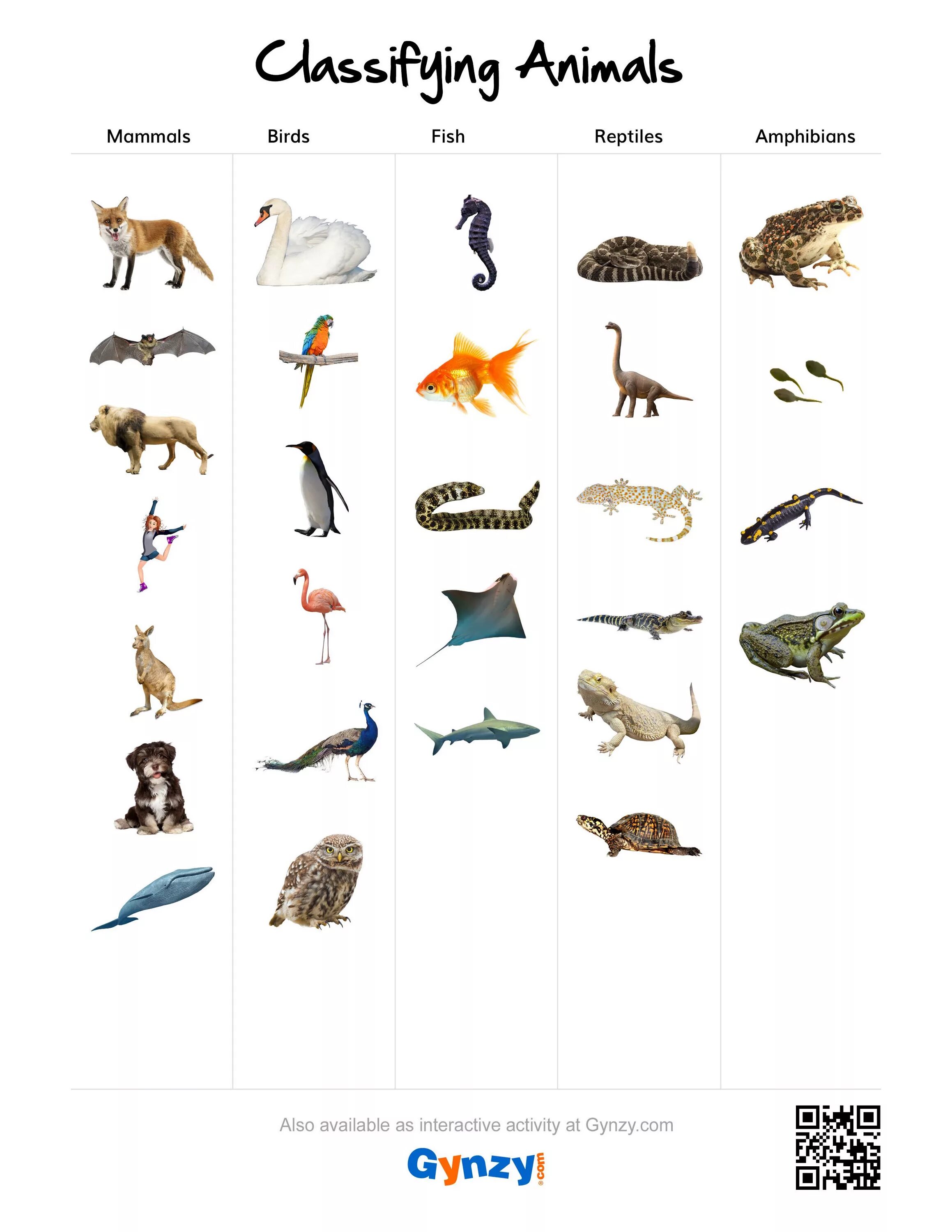 Reptiles mammals. Animals classification mammals Reptiles. Mammals and Reptiles Worksheet. Birds mammals and Reptiles примеры. Animals classification Worksheets.