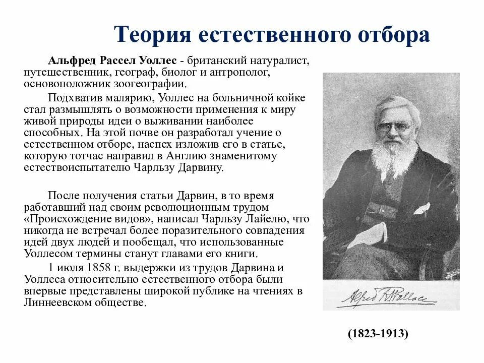 Теория эволюции и естественного отбора. Дарвина. Чарльз дарвин теория эволюции. Эволюция естественный отбор биология. Естественный отбор по дарвину.