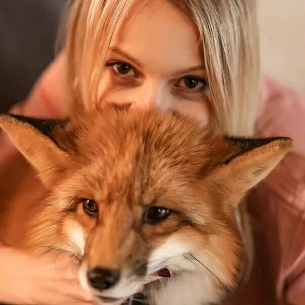 Женщина лисица. Лиса блондинка. Фотосессия с лисой. Женщина fox