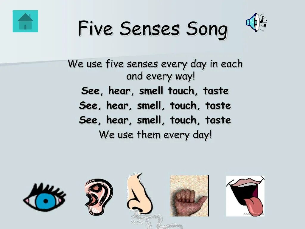 Out of senses. See hear smell taste touch. 5 senses flashcards. five senses flashcards. five senses flashcards for kids.