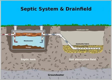 Is It Time To Schedule Drain Field Repair In Forbes Hill?