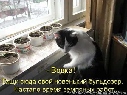 Остается дождаться