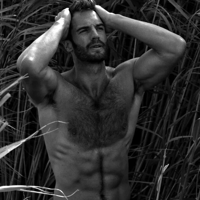 4 hairy. Tom bull. Tom bull model.