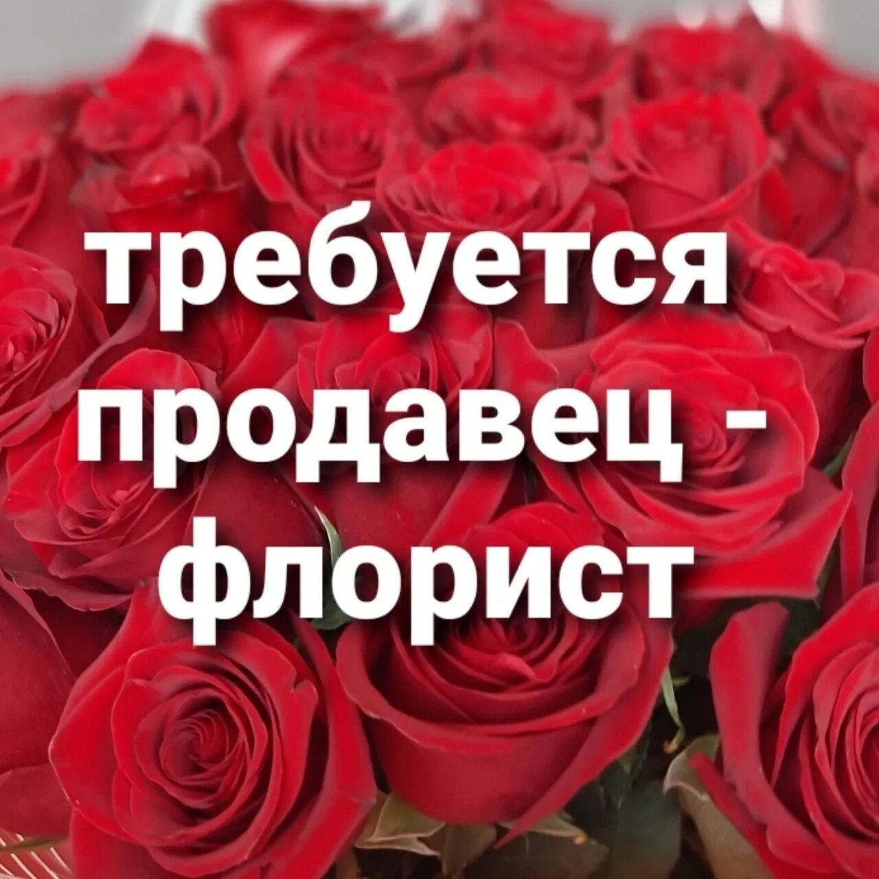 Продавец флорист вакансии. Индивидуальная расстановка. Продавец флорист вакансии. Продавец флорист вакансии. Требуется флорист.