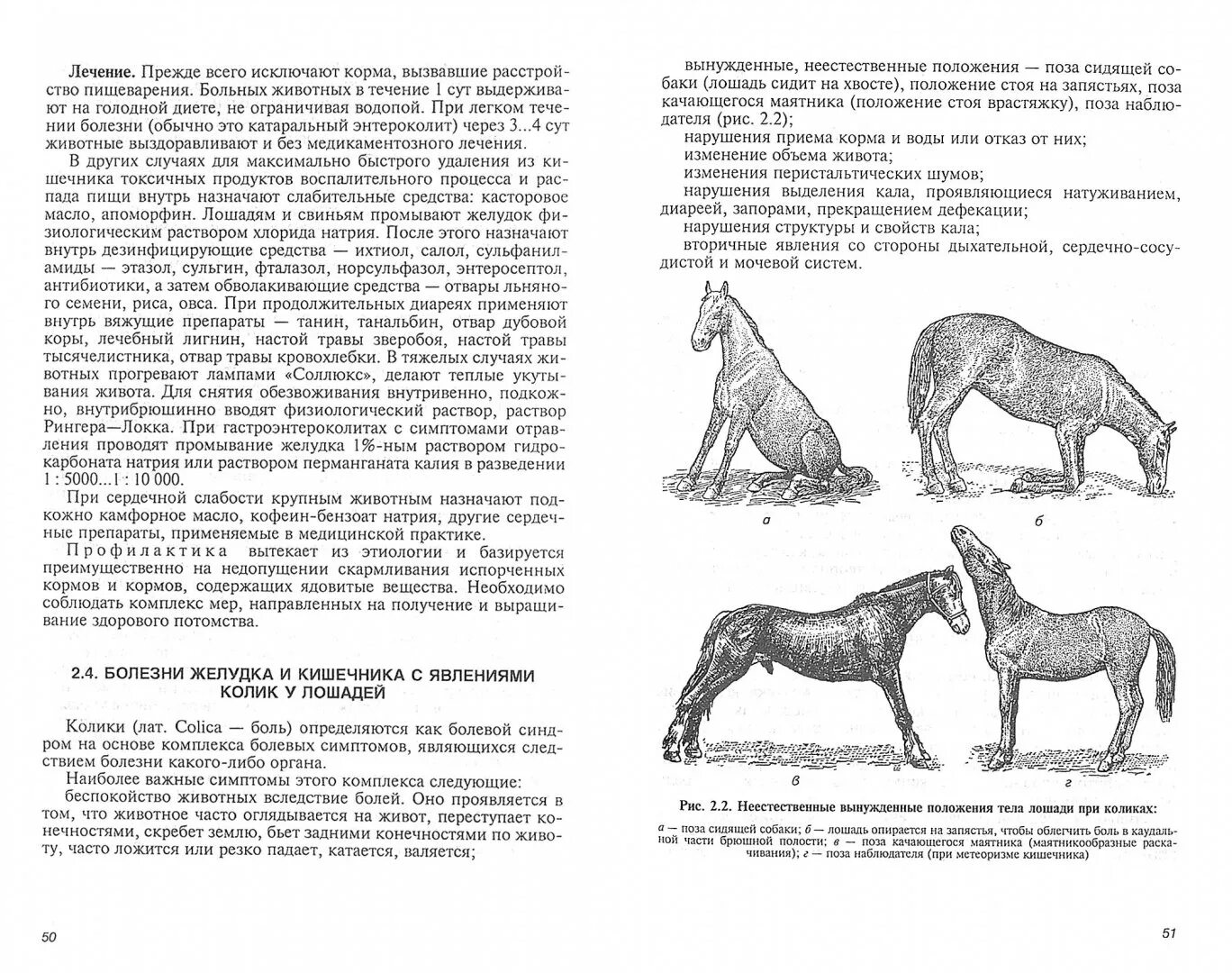 Симптомокомплекс Колик у лошадей. Болезни лошадей учебник. Болезни лошадей и симптомы.