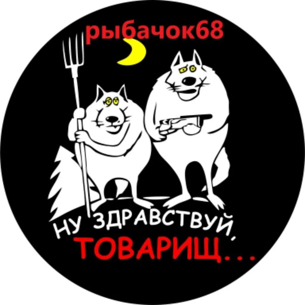 Здравствуйте а вот и я. Хде деньги. Ну здравствуй товарищ картинки. Тамбовский волк. Ну здравствуй вот он я.